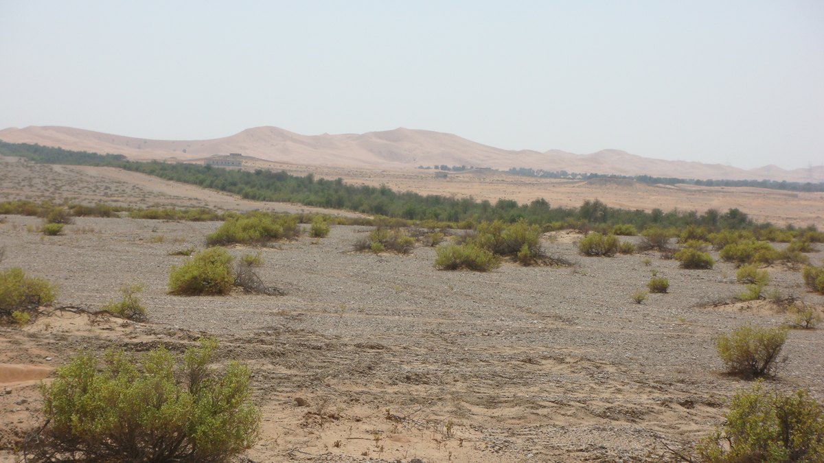 AmunRa مراجعة
